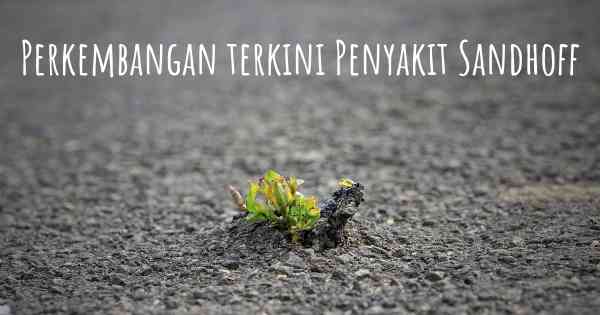Perkembangan terkini Penyakit Sandhoff
