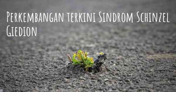 Perkembangan terkini Sindrom Schinzel Giedion