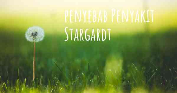 penyebab Penyakit Stargardt