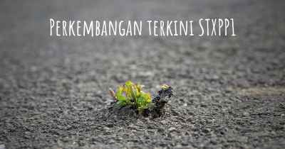 Perkembangan terkini STXPP1