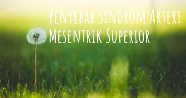 penyebab Sindrom Arteri Mesentrik Superior