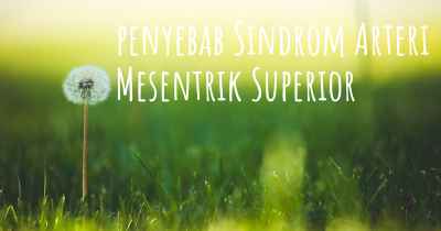 penyebab Sindrom Arteri Mesentrik Superior