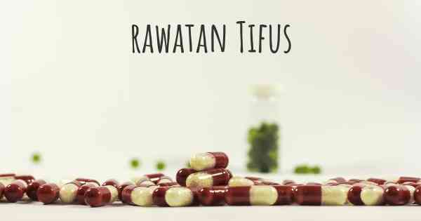 rawatan Tifus