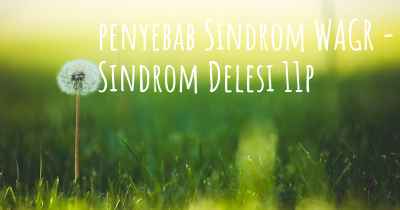 penyebab Sindrom WAGR - Sindrom Delesi 11p