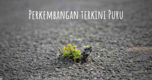 Perkembangan terkini Puru