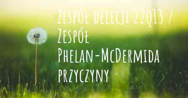 Zespół delecji 22q13 / Zespół Phelan-McDermida przyczyny