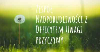 Zespół Nadpobudliwości z Deficytem Uwagi przyczyny