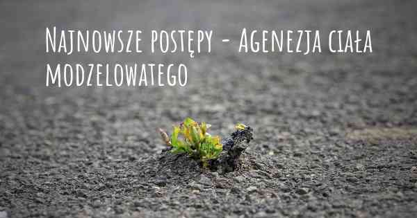 Najnowsze postępy - Agenezja ciała modzelowatego