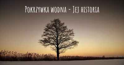 Pokrzywka wodna - Jej historia