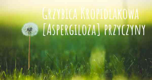 Grzybica Kropidlakowa [Aspergiloza] przyczyny