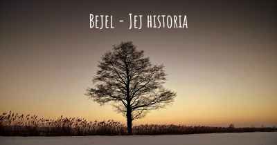 Bejel - Jej historia