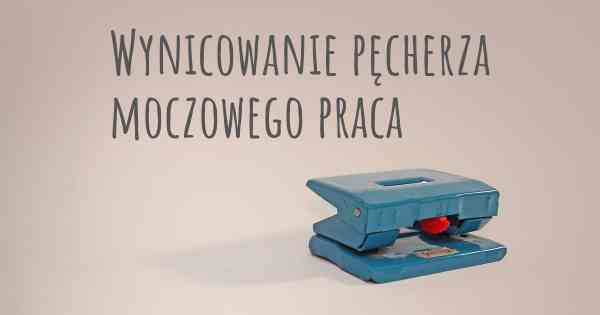 Wynicowanie pęcherza moczowego praca