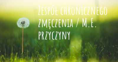 Zespół chronicznego zmęczenia / M.E. przyczyny