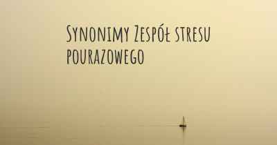 Synonimy Zespół stresu pourazowego