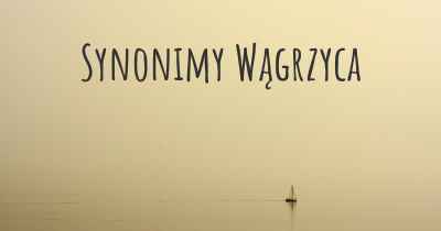 Synonimy Wągrzyca