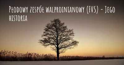 Płodowy zespół walproinianowy (FVS) - Jego historia