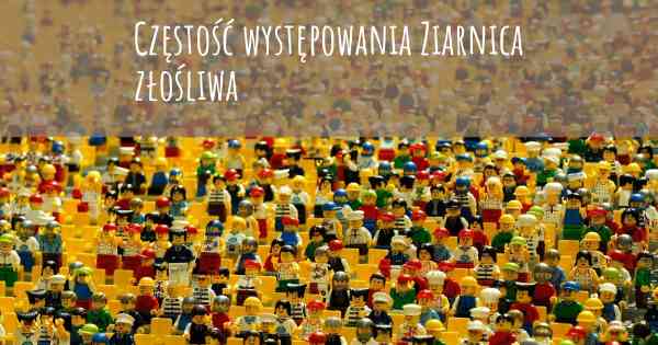 Częstość występowania Ziarnica złośliwa