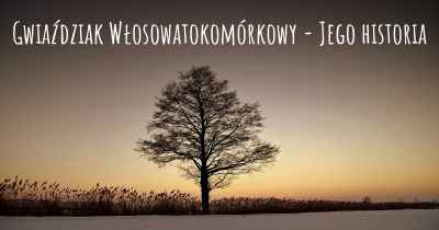 Gwiaździak Włosowatokomórkowy - Jego historia