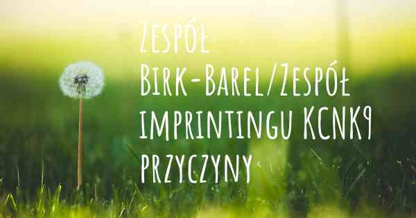 Zespół Birk-Barel/Zespół imprintingu KCNK9 przyczyny