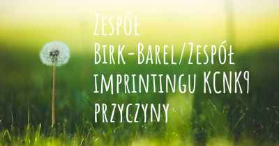 Zespół Birk-Barel/Zespół imprintingu KCNK9 przyczyny