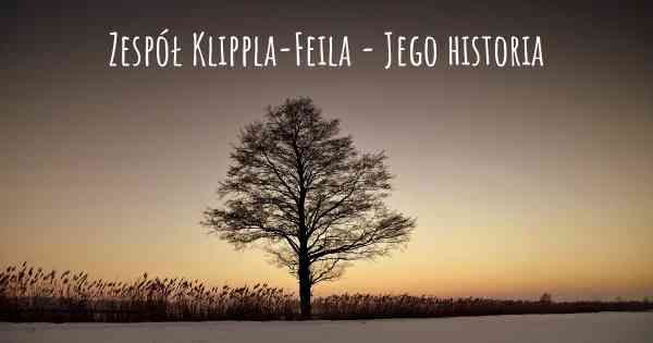 Zespół Klippla-Feila - Jego historia