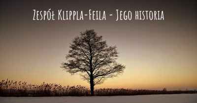 Zespół Klippla-Feila - Jego historia