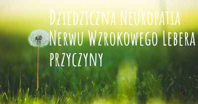 Dziedziczna Neuropatia Nerwu Wzrokowego Lebera przyczyny