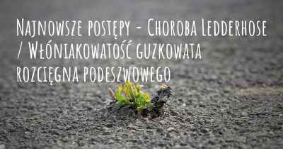 Najnowsze postępy - Choroba Ledderhose / Włóniakowatość guzkowata rozcięgna podeszwowego