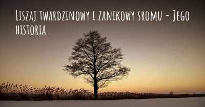 Liszaj twardzinowy i zanikowy sromu - Jego historia