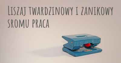 Liszaj twardzinowy i zanikowy sromu praca