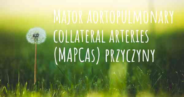 Major aortopulmonary collateral arteries (MAPCAs) przyczyny