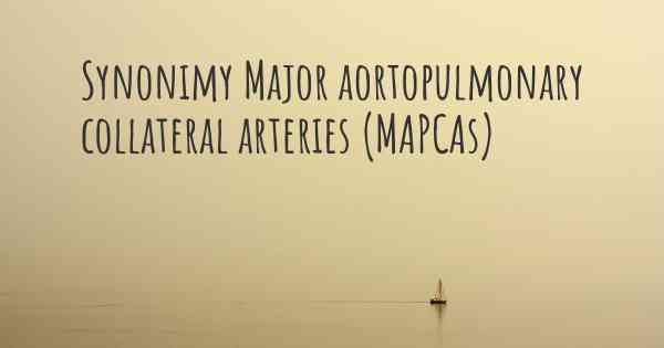 Synonimy Major aortopulmonary collateral arteries (MAPCAs)