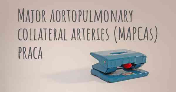 Major aortopulmonary collateral arteries (MAPCAs) praca