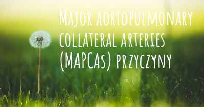 Major aortopulmonary collateral arteries (MAPCAs) przyczyny