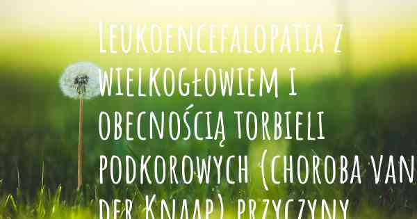 Leukoencefalopatia z wielkogłowiem i obecnością torbieli podkorowych (choroba van der Knaap) przyczyny