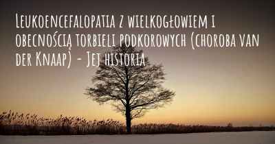 Leukoencefalopatia z wielkogłowiem i obecnością torbieli podkorowych (choroba van der Knaap) - Jej historia