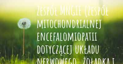 Zespół MNGIE (Zespół mitochondrialnej encefalomiopatii dotyczącej układu nerwowego, żołądka i jelit) przyczyny
