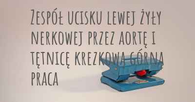 Zespół ucisku lewej żyły nerkowej przez aortę i tętnicę krezkową górną praca