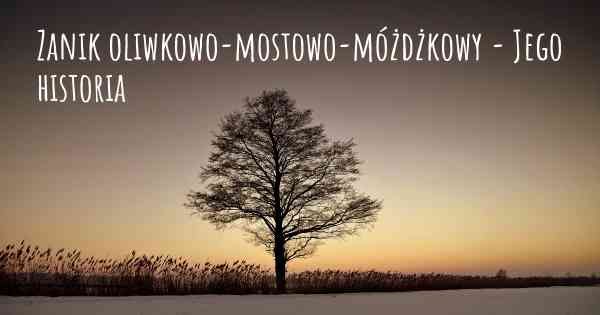 Zanik oliwkowo-mostowo-móżdżkowy - Jego historia