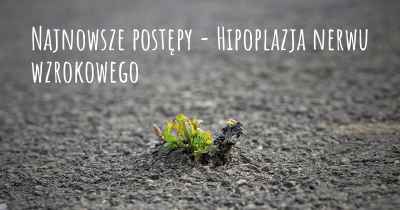 Najnowsze postępy - Hipoplazja nerwu wzrokowego