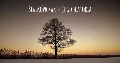 Siatkówczak - Jego historia