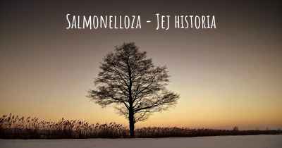 Salmonelloza - Jej historia