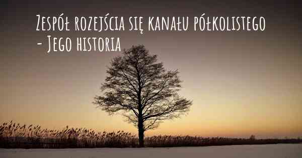 Zespół rozejścia się kanału półkolistego - Jego historia