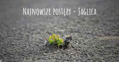 Najnowsze postępy - Jaglica