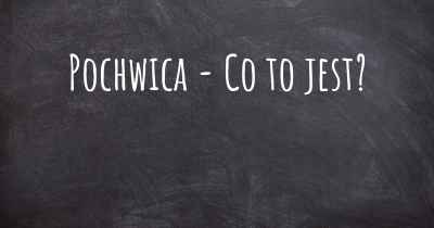 Pochwica - Co to jest?