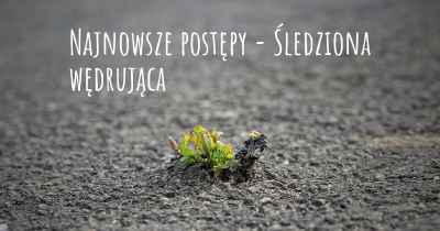 Najnowsze postępy - Śledziona wędrująca