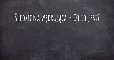 Śledziona wędrująca - Co to jest?