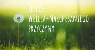 Zespół Weilla-Marchesaniego przyczyny