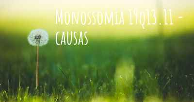 Monossomia 19q13.11 - causas