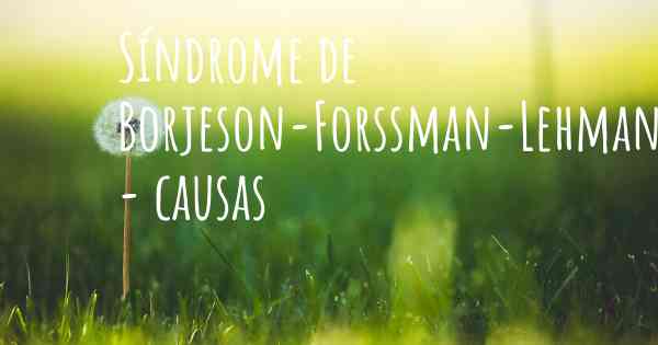 Síndrome de Borjeson-Forssman-Lehmann - causas